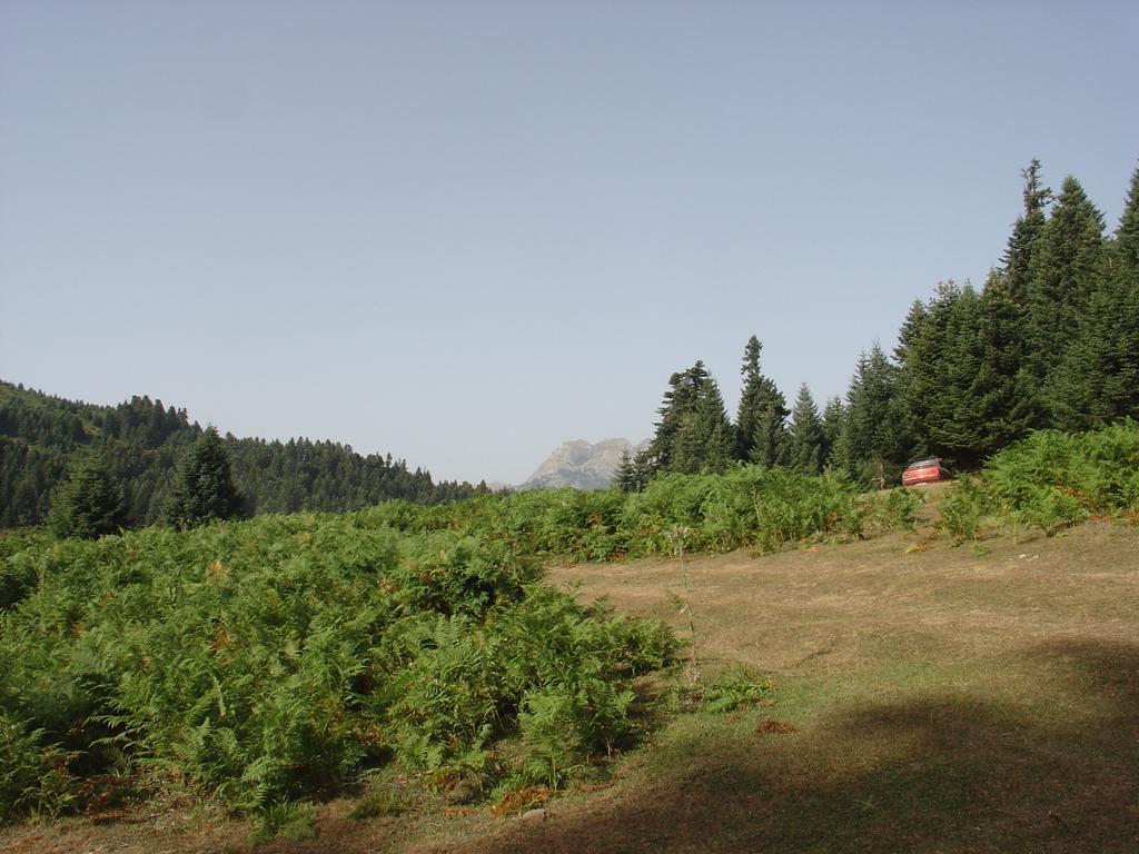 The Lake'S House Kryonerion ภายนอก รูปภาพ